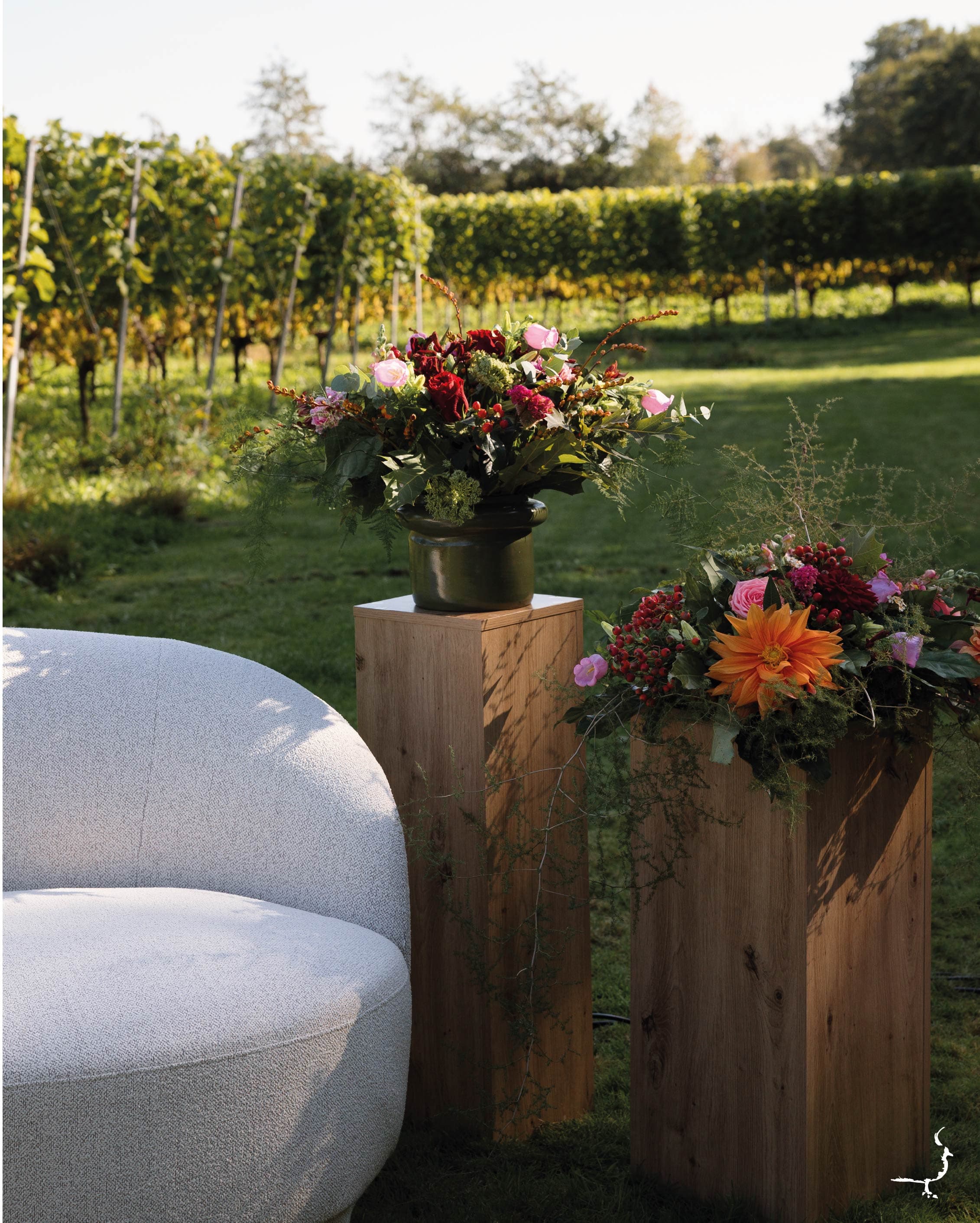 Afbeelding van de bruiloft bij Wijngaard de Frysling