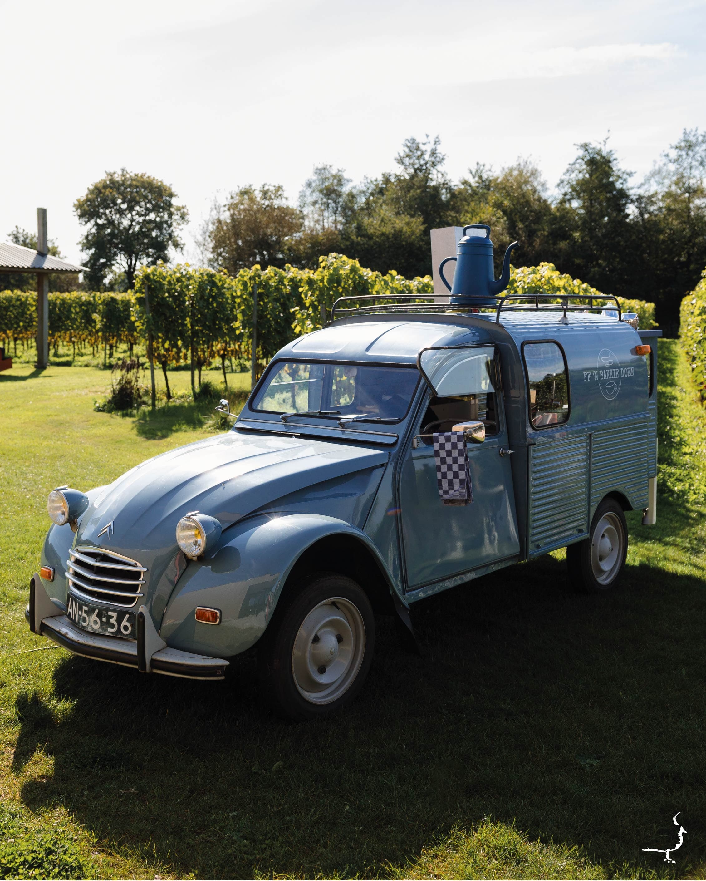 Afbeelding van de bruiloft bij Wijngaard de Frysling