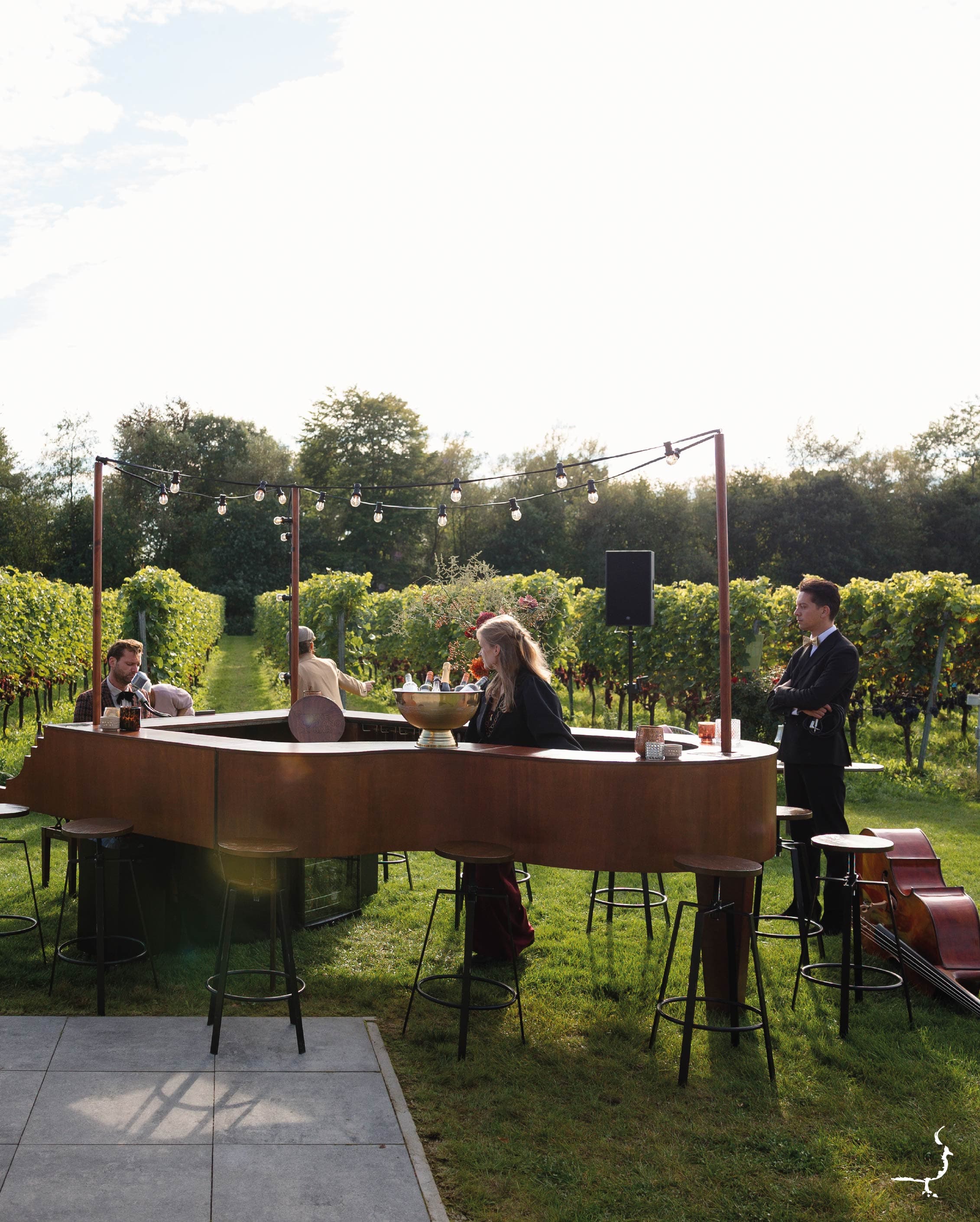 Afbeelding van de bruiloft bij Wijngaard de Frysling